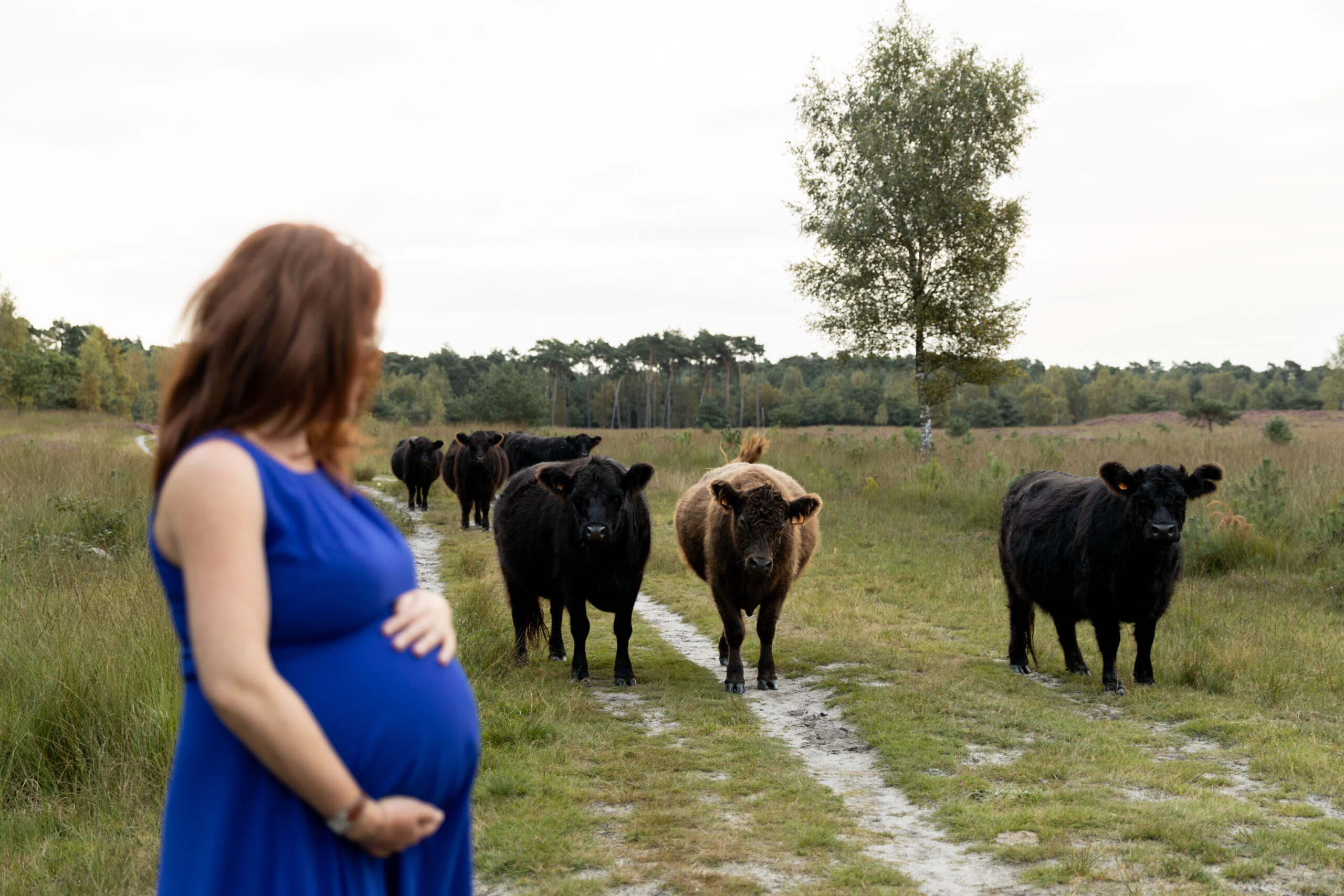 Zwangere vrouw op de Kalmthoutse Heide